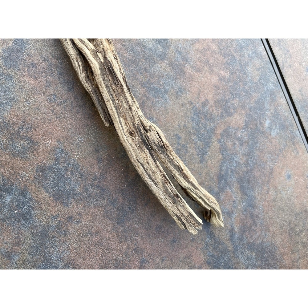 Natural Driftwood for Plants Terrarium Taxidermy Art Projects - Picture 5 of 5